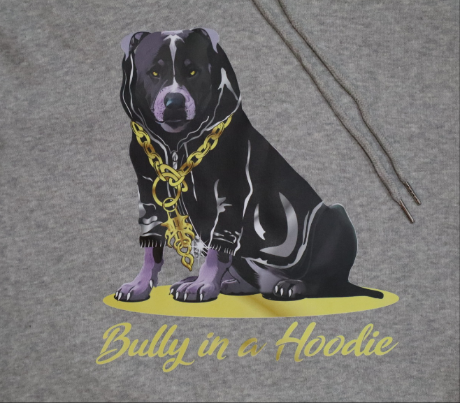 "Bully in a Hoodie"