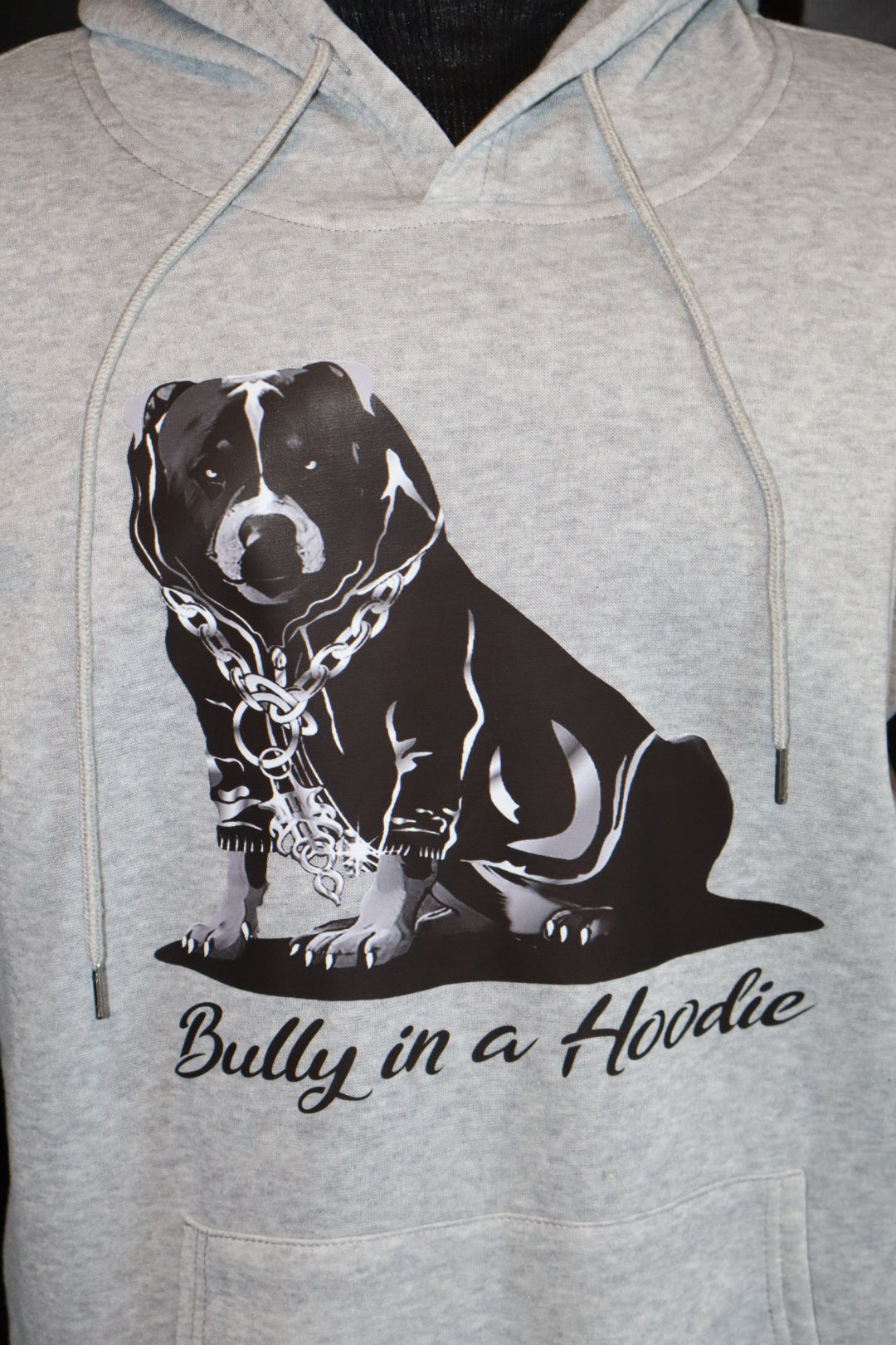 "Bully in a Hoodie"